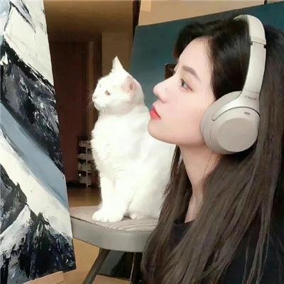 林中漫步